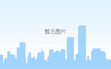 山东鲁瑞电力集团有限公司